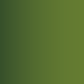 Orc Skin