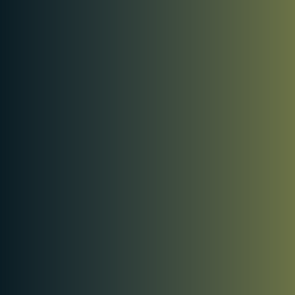 Green Commando