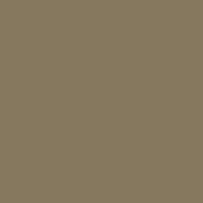 US Brown Khaki