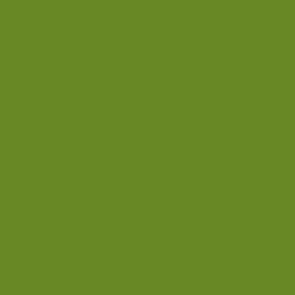 Green Scorpionfish