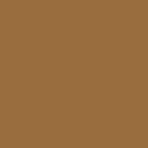 Polished Bronze