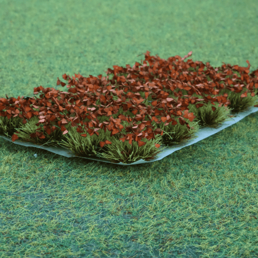 Decorative shrubs [Red leaf]