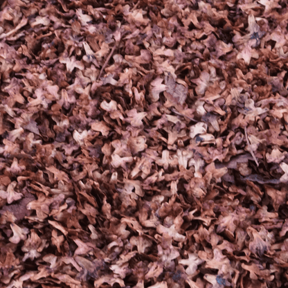 Decorative leaves [Autumn Red]