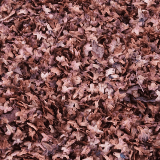 Decorative leaves [Autumn Red]