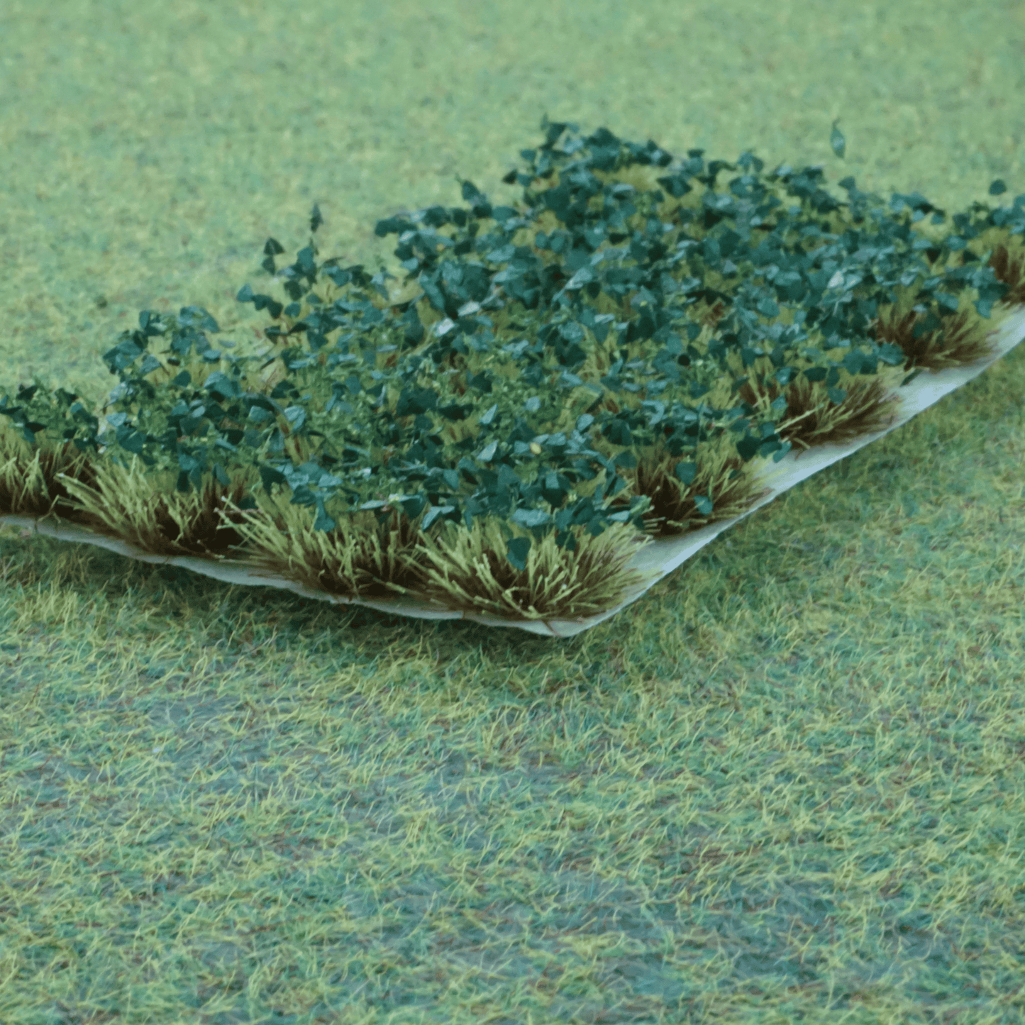 Ornamental Shrubs [Green leaf]
