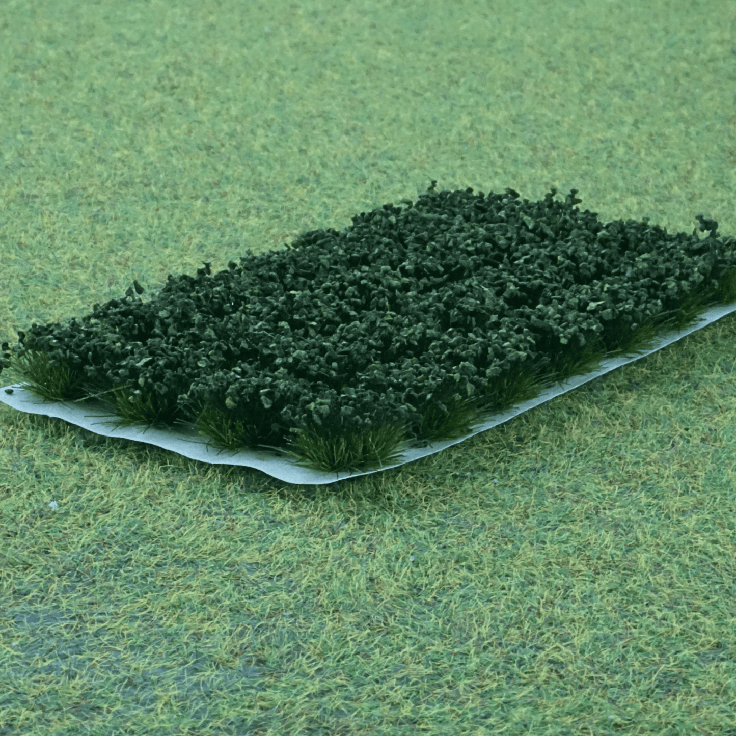 Decorative shrubs [Dark green]