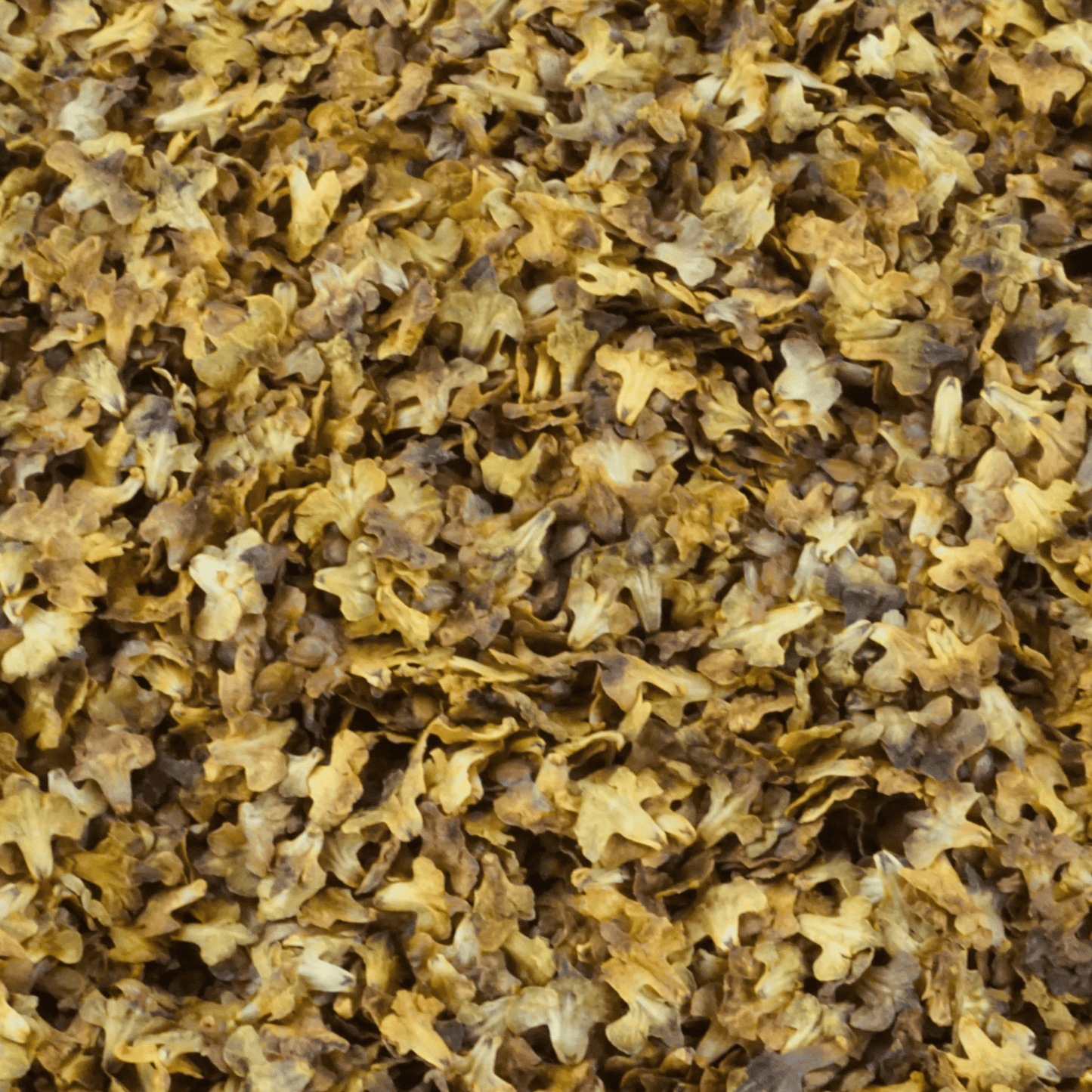 Decorative leaves [Autumnal yellow]