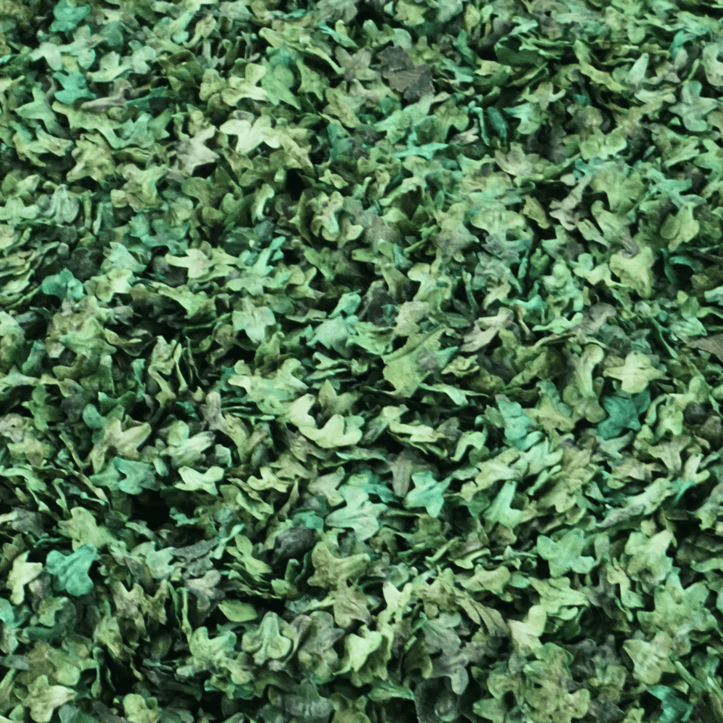 Decorative leaves [Fresh green]