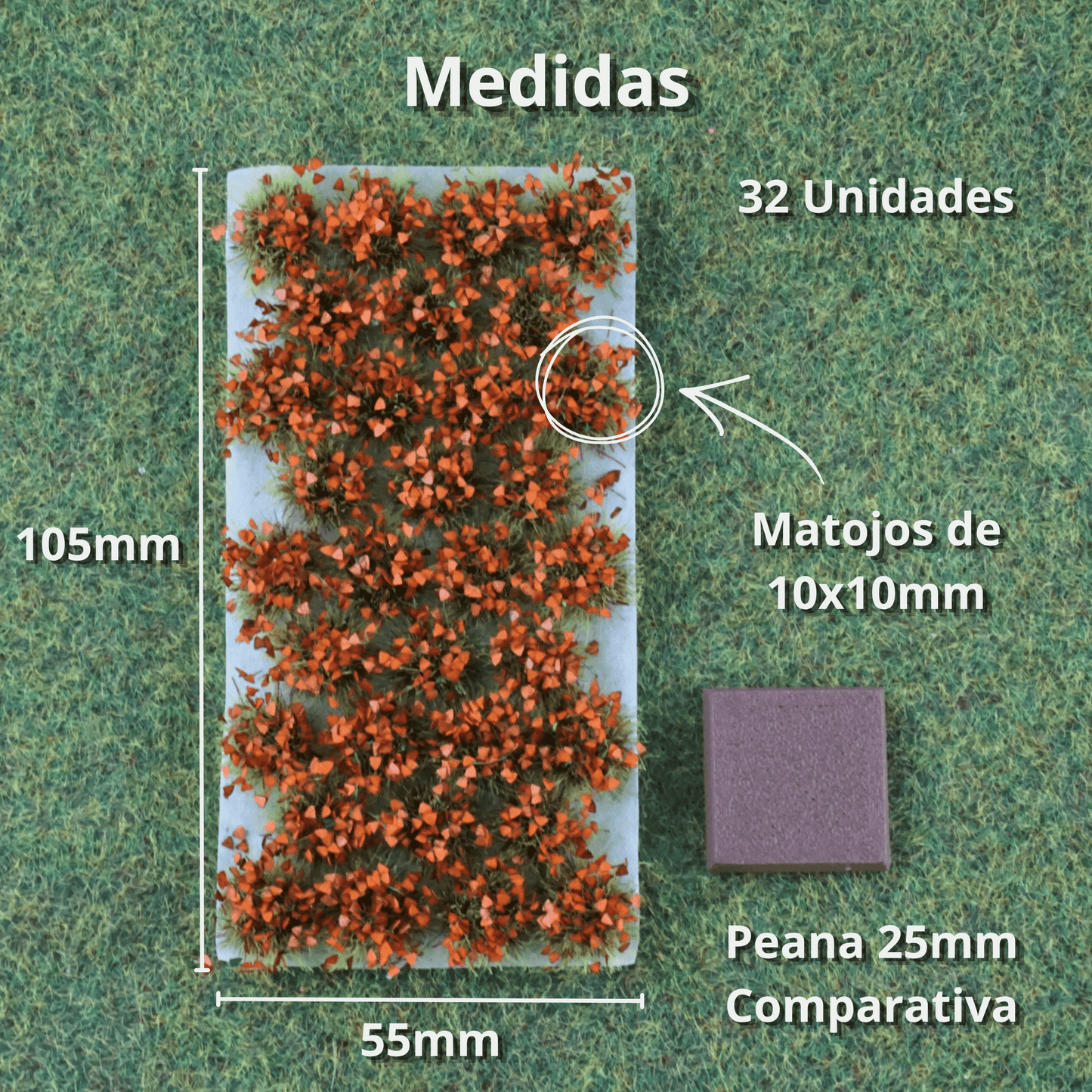 Decorative shrubs [Red leaf]