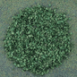 Decorative leaves [Fresh green]
